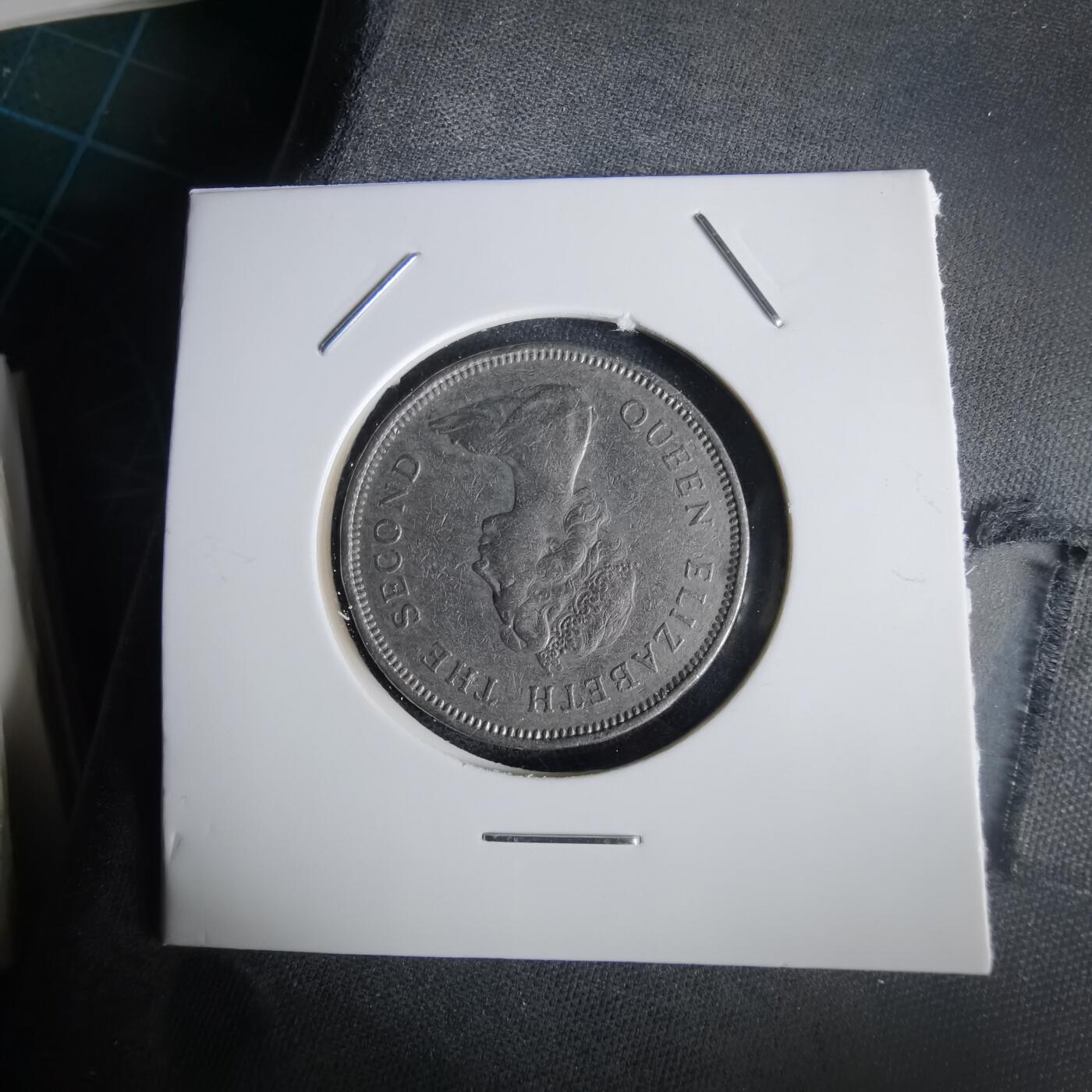 沼泽如烟--第1028场