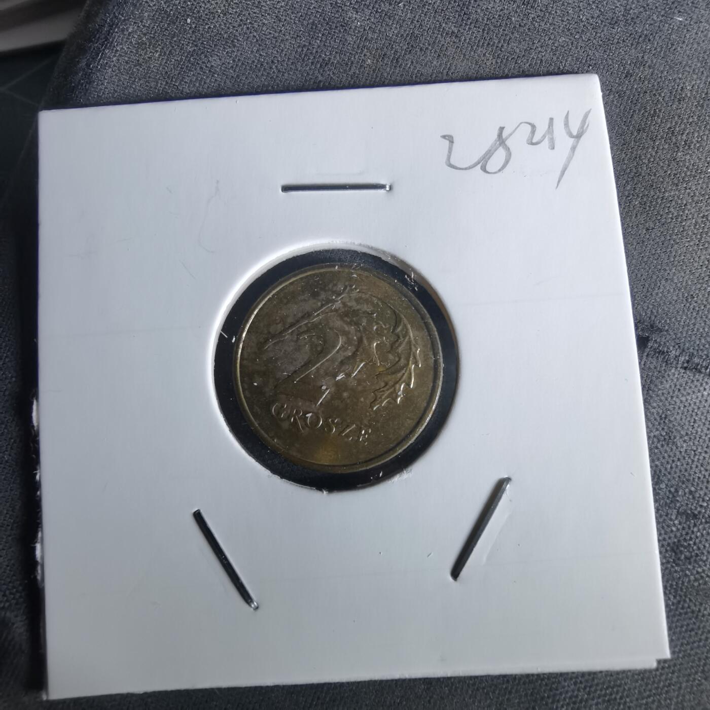 沼泽如烟--第1028场