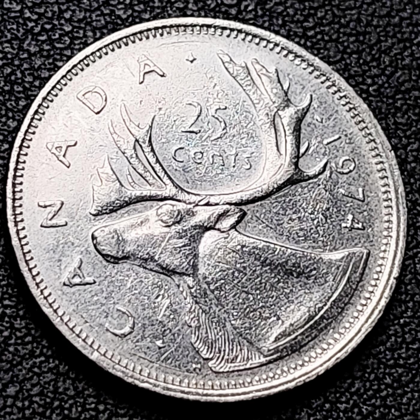 泉币菌-第213场-拍品多 请提前出价（工作最近较忙 发货不及时，望理解） 。