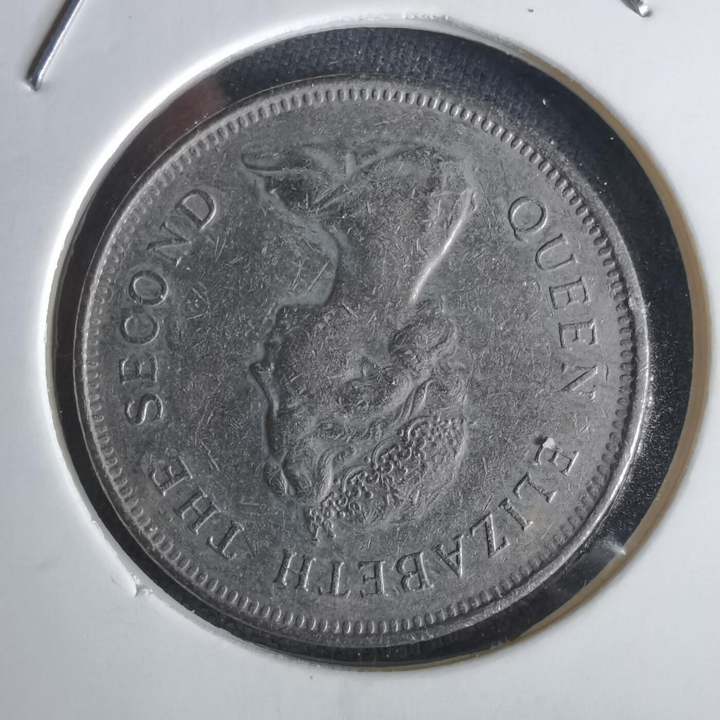 沼泽如烟--第1028场