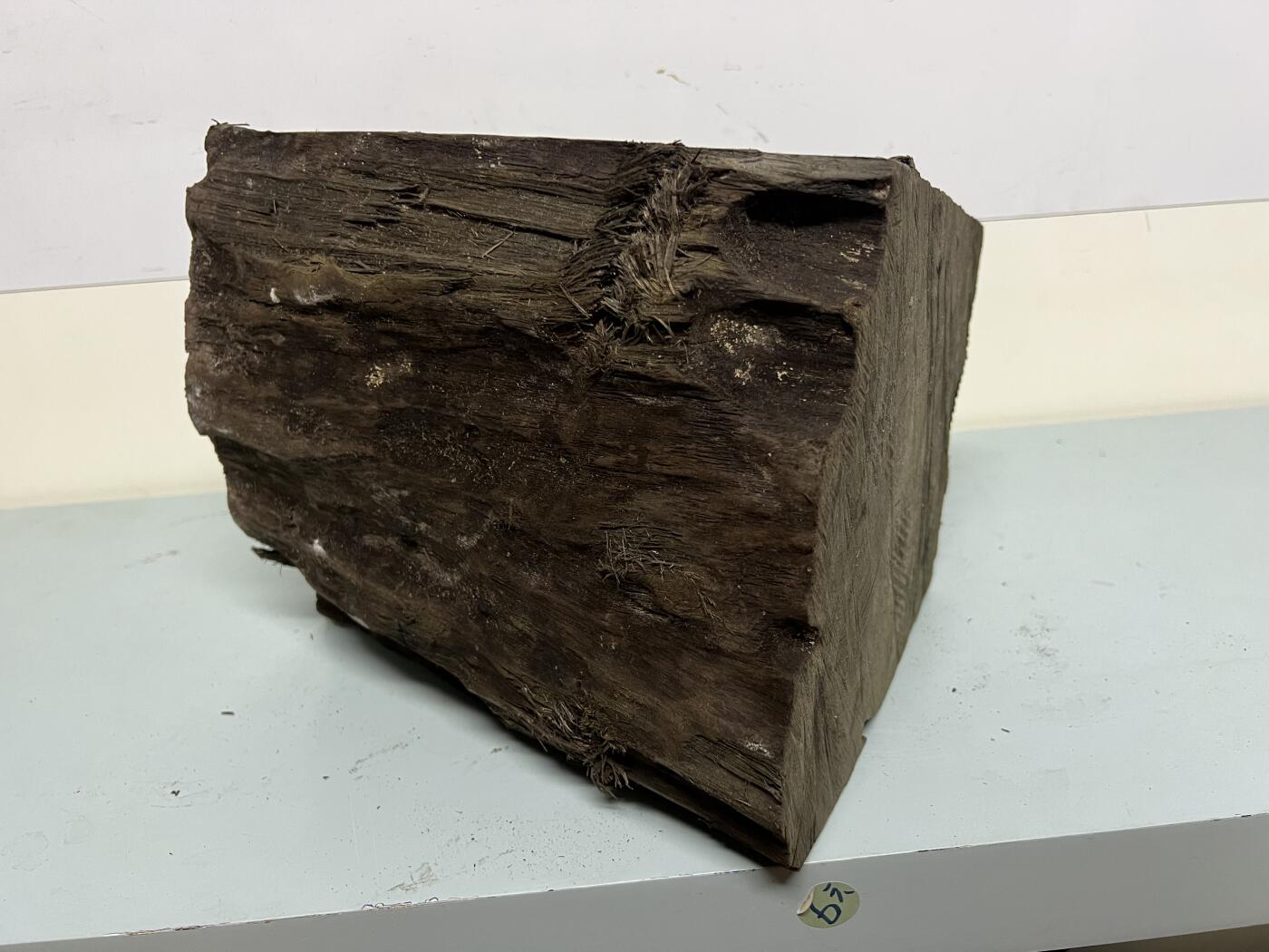 零元拍：满金丝祖母绿级别 阴沉木 金丝楠墩子老料 做凳子 做茶台  做雕件 满肉满金丝 果香满满 尺寸：20/19/24CM。8.7公斤。