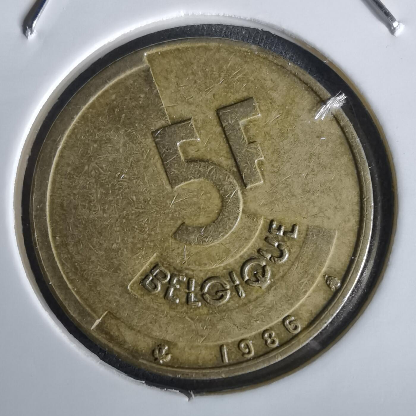 沼泽如烟--第1028场