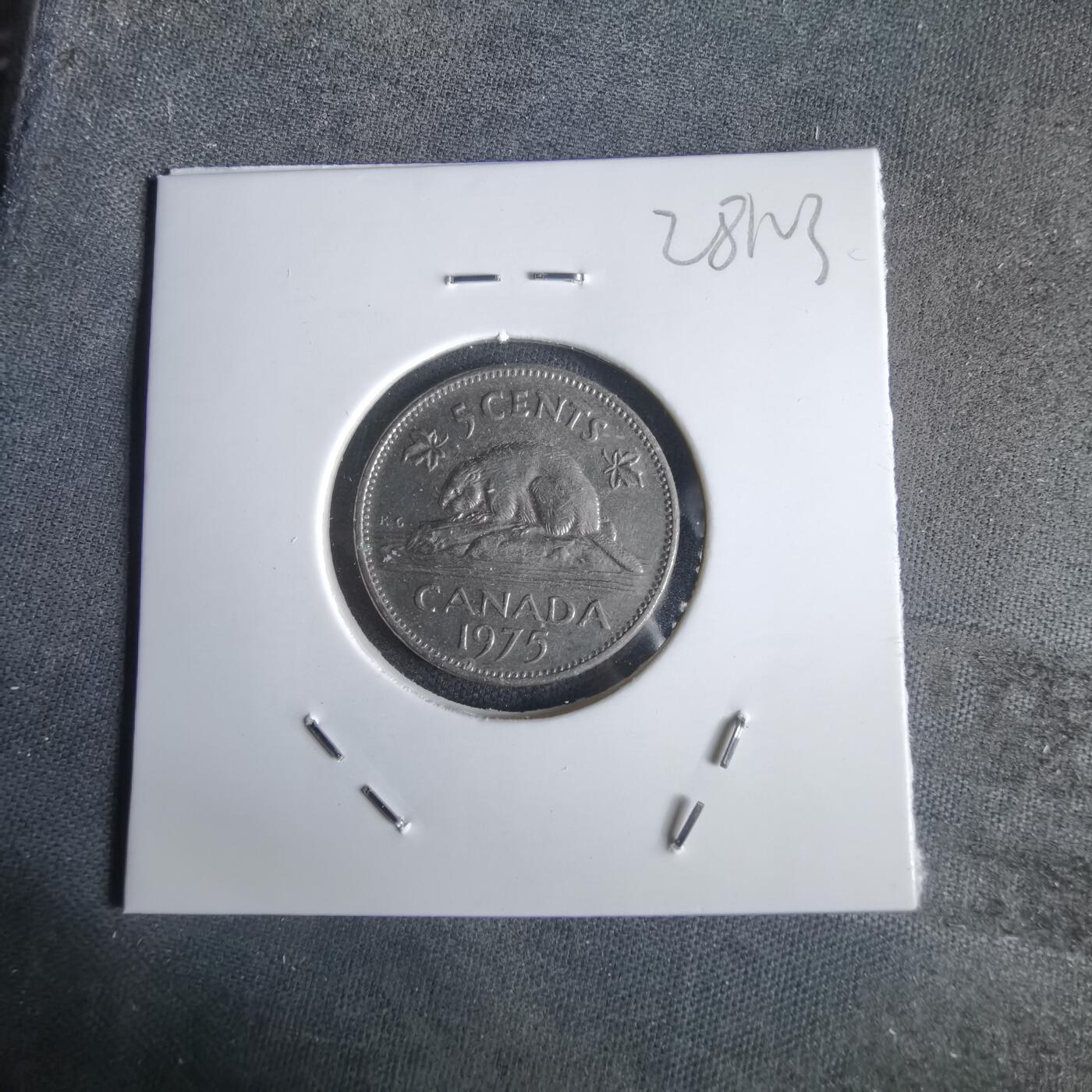 沼泽如烟--第1028场