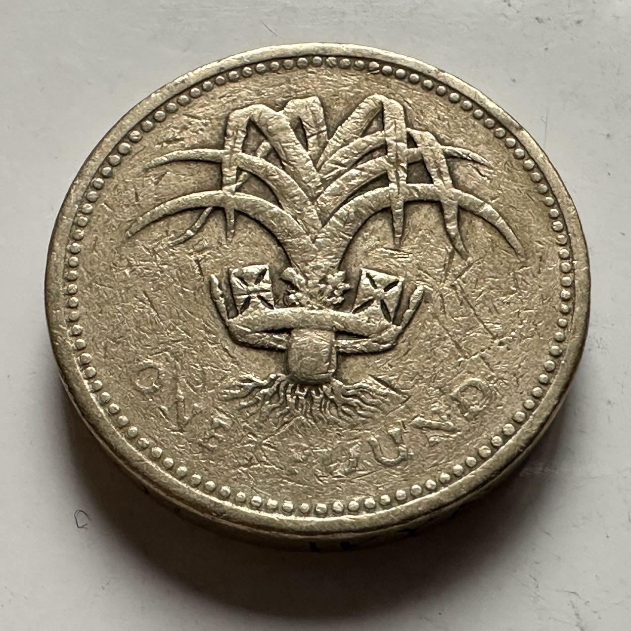 🌹外币初藏🌹🐯2026年第31场   每周二四六晚8️⃣点 接代拍