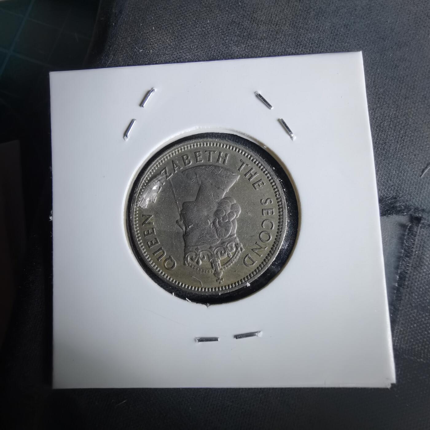 沼泽如烟--第1028场