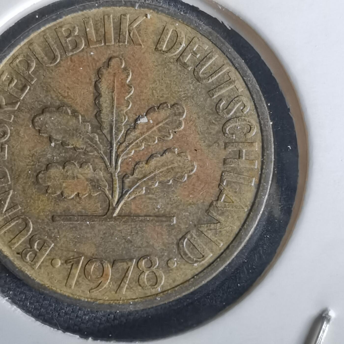 沼泽如烟--第1028场