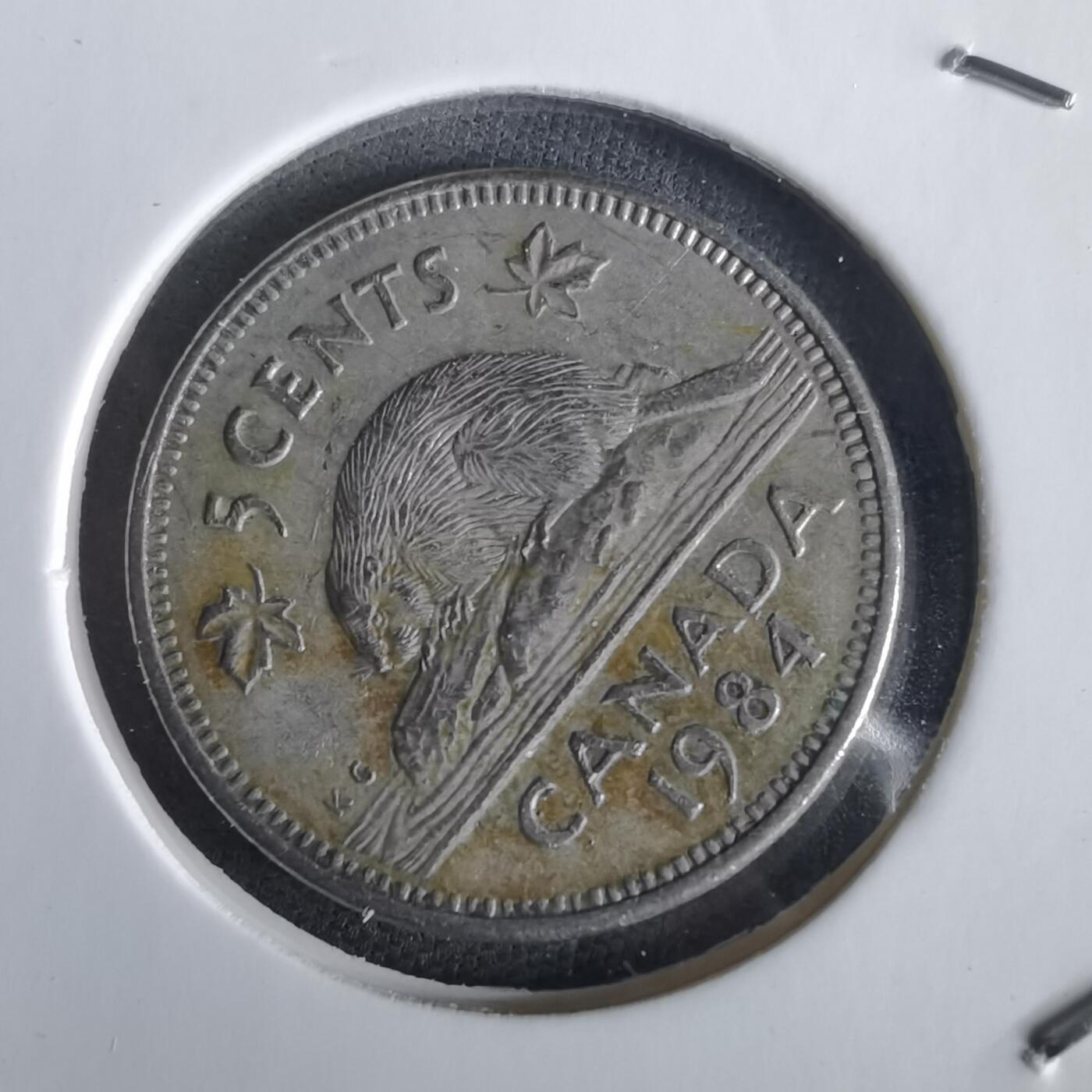 沼泽如烟--第1028场