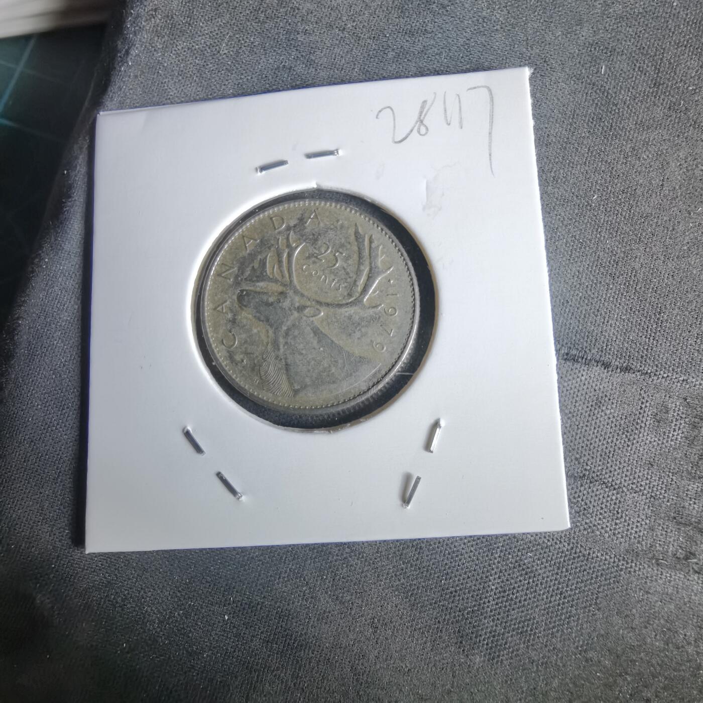 沼泽如烟--第1028场