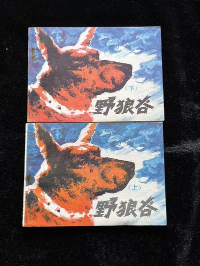 野狼谷（上下册） - 野狼谷（上下册）
