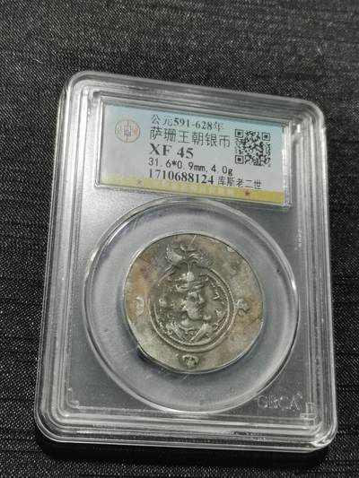 天下钱庄专场欢迎参拍 - 萨珊王朝银币