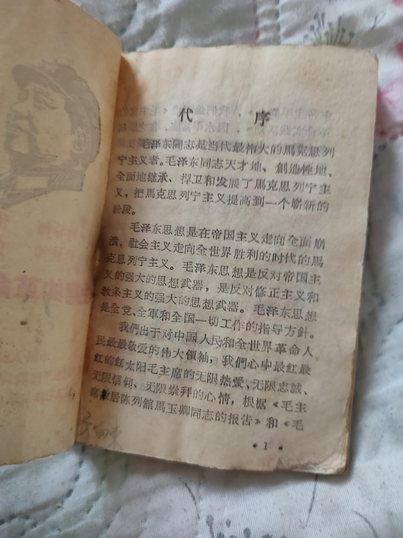 毛主席的革命实践，新疆八一野战军印