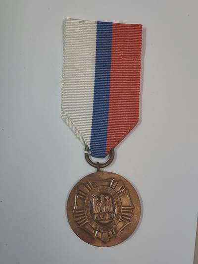 韵星假日军品类拍卖第47期 -- Rimey Holidays Militaria Auction 47 - 波兰人民共和国铜级内务部（警察）服务奖章