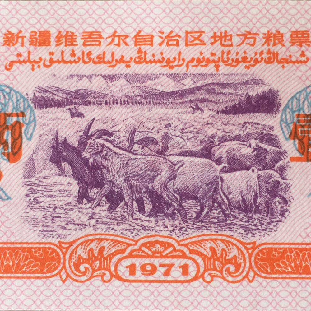         稀少1971年新疆地方粮票壹市两双语全新品未流通原版真品如图供应票证旧藏文玩艺术收藏
