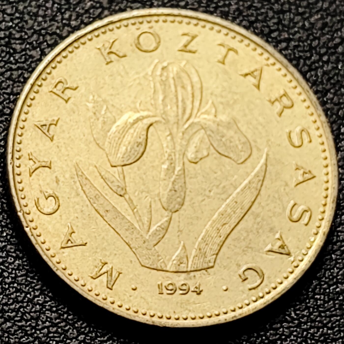 泉币菌-第213场-拍品多 请提前出价（工作最近较忙 发货不及时，望理解） 。