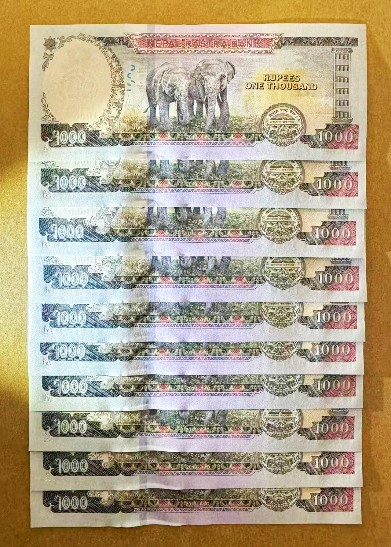 【Blue Auction】世界纸币精拍第796期——18级TOP拍卖/信誉/品质/专业/高效💫 【一组十连181211-181220】尼泊尔 1000卢比 大象 全新UNC