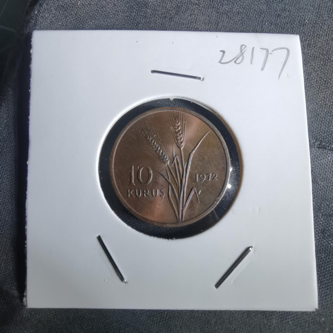 沼泽如烟--第1028场