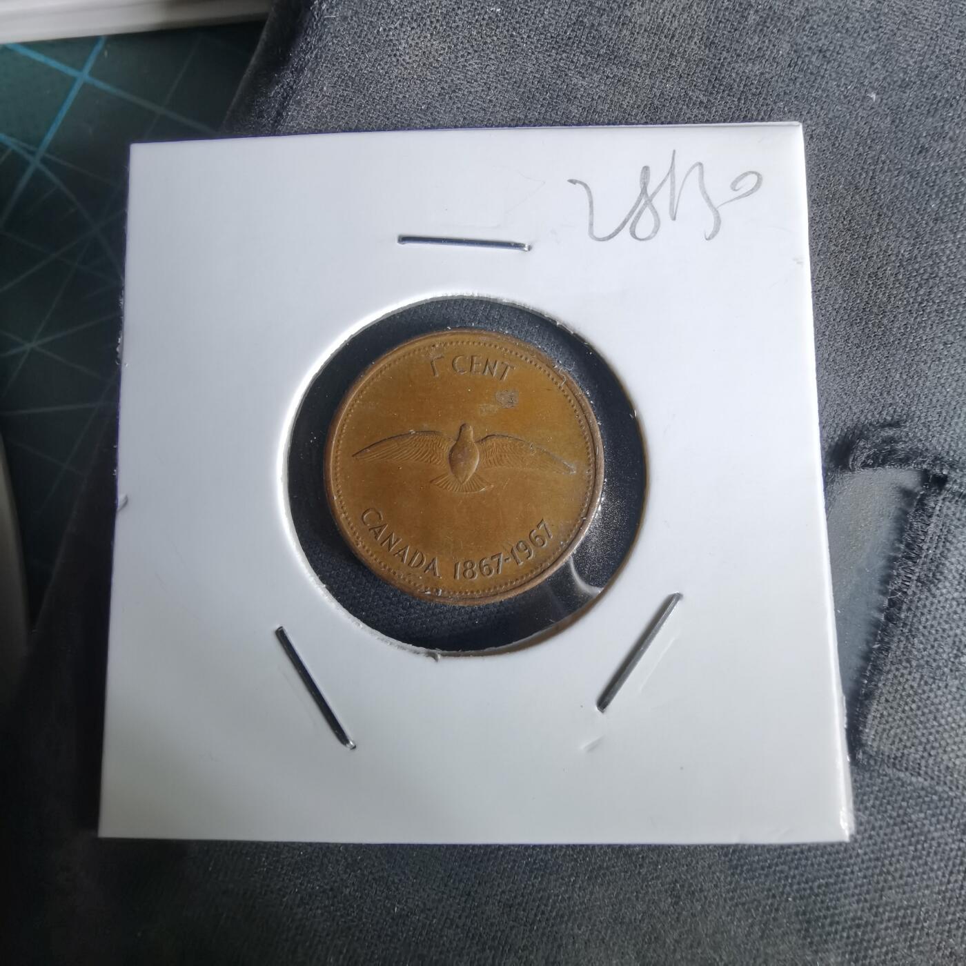 沼泽如烟--第1028场