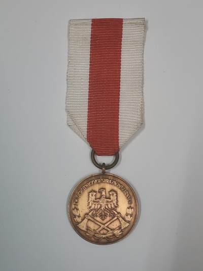 韵星假日军品类拍卖第47期 -- Rimey Holidays Militaria Auction 47 - 波兰人民共和国铜级消防功绩奖章