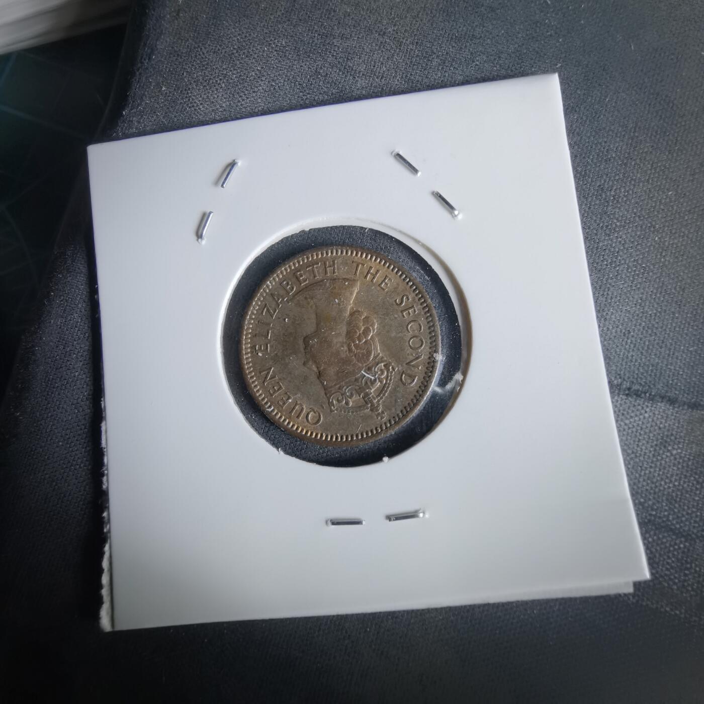 沼泽如烟--第1028场