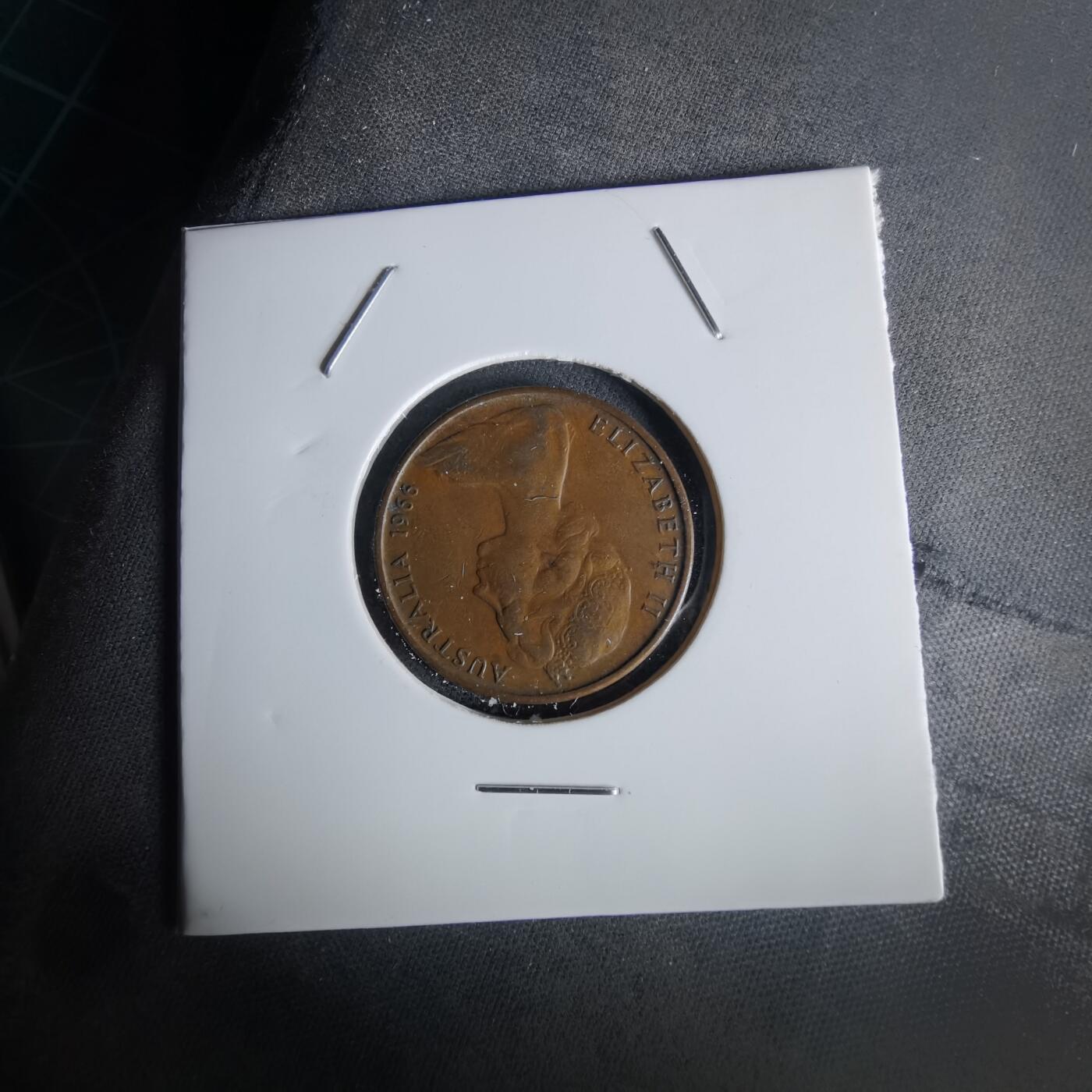 沼泽如烟--第1028场