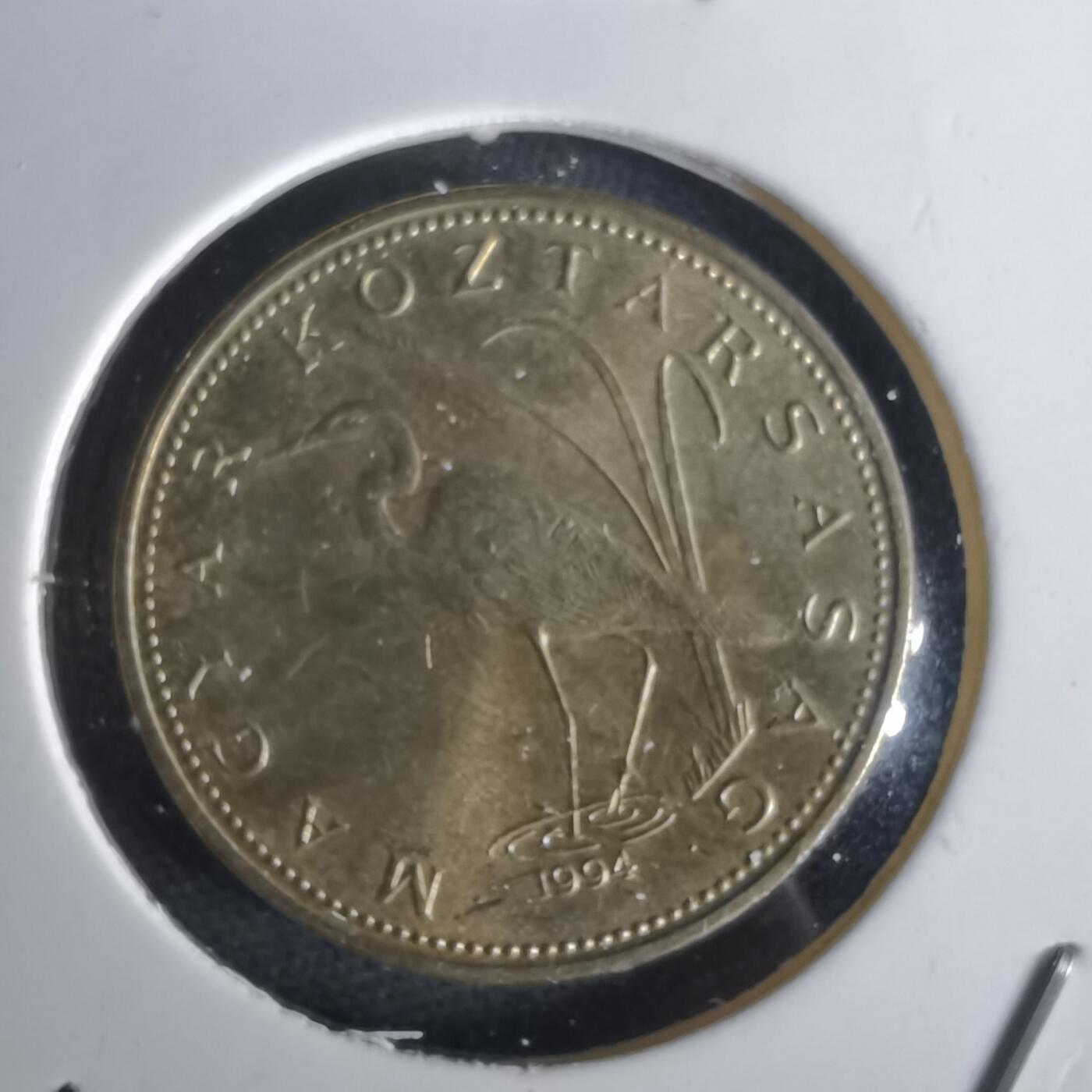 沼泽如烟--第1028场