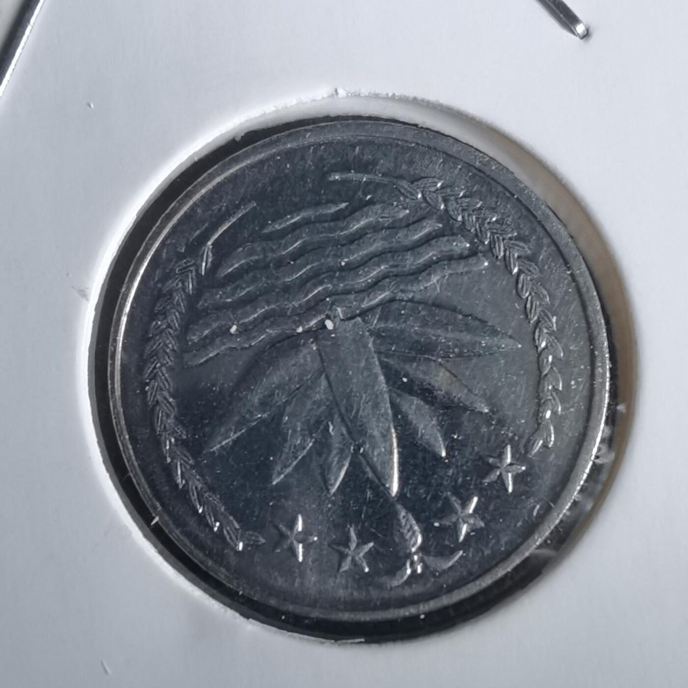 沼泽如烟--第1028场