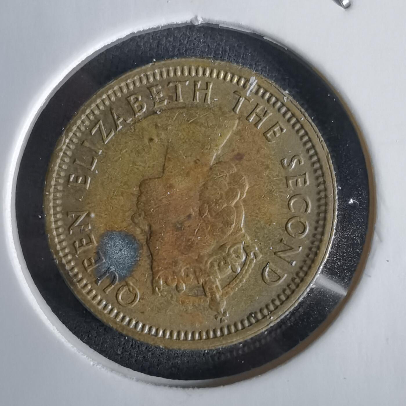 沼泽如烟--第1028场