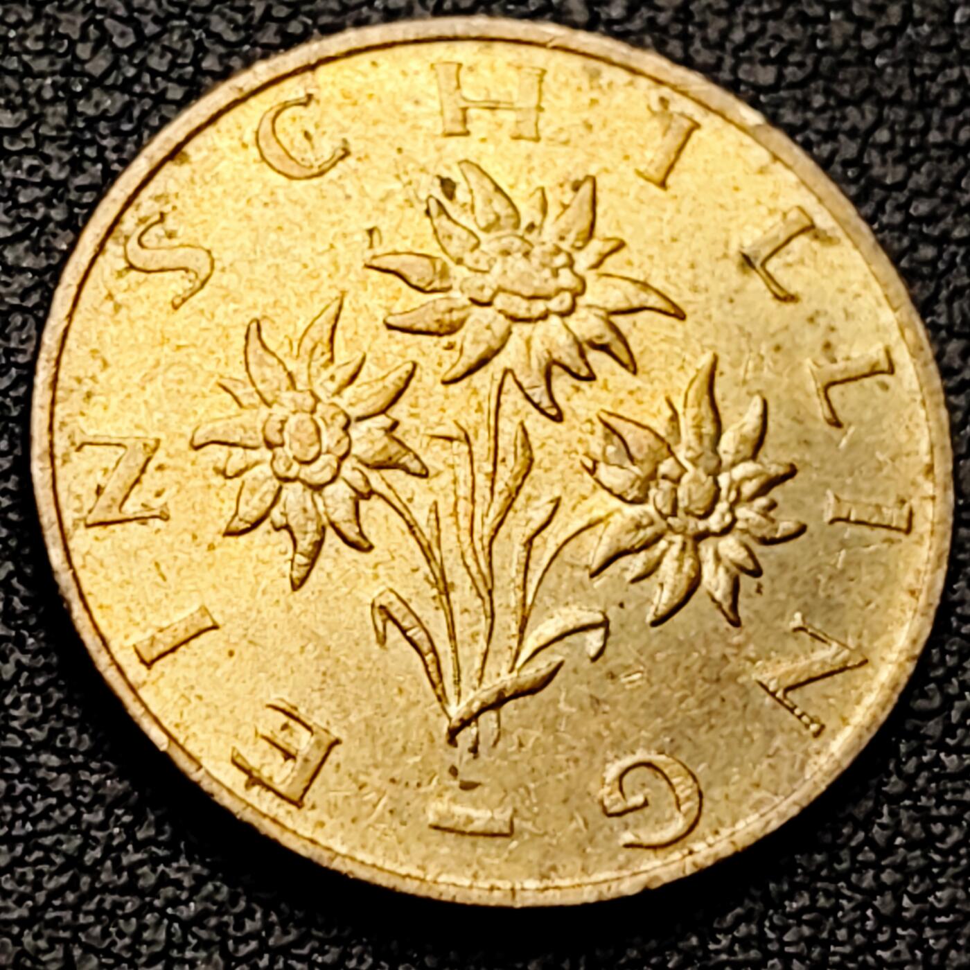 泉币菌-第213场-拍品多 请提前出价（工作最近较忙 发货不及时，望理解） 。