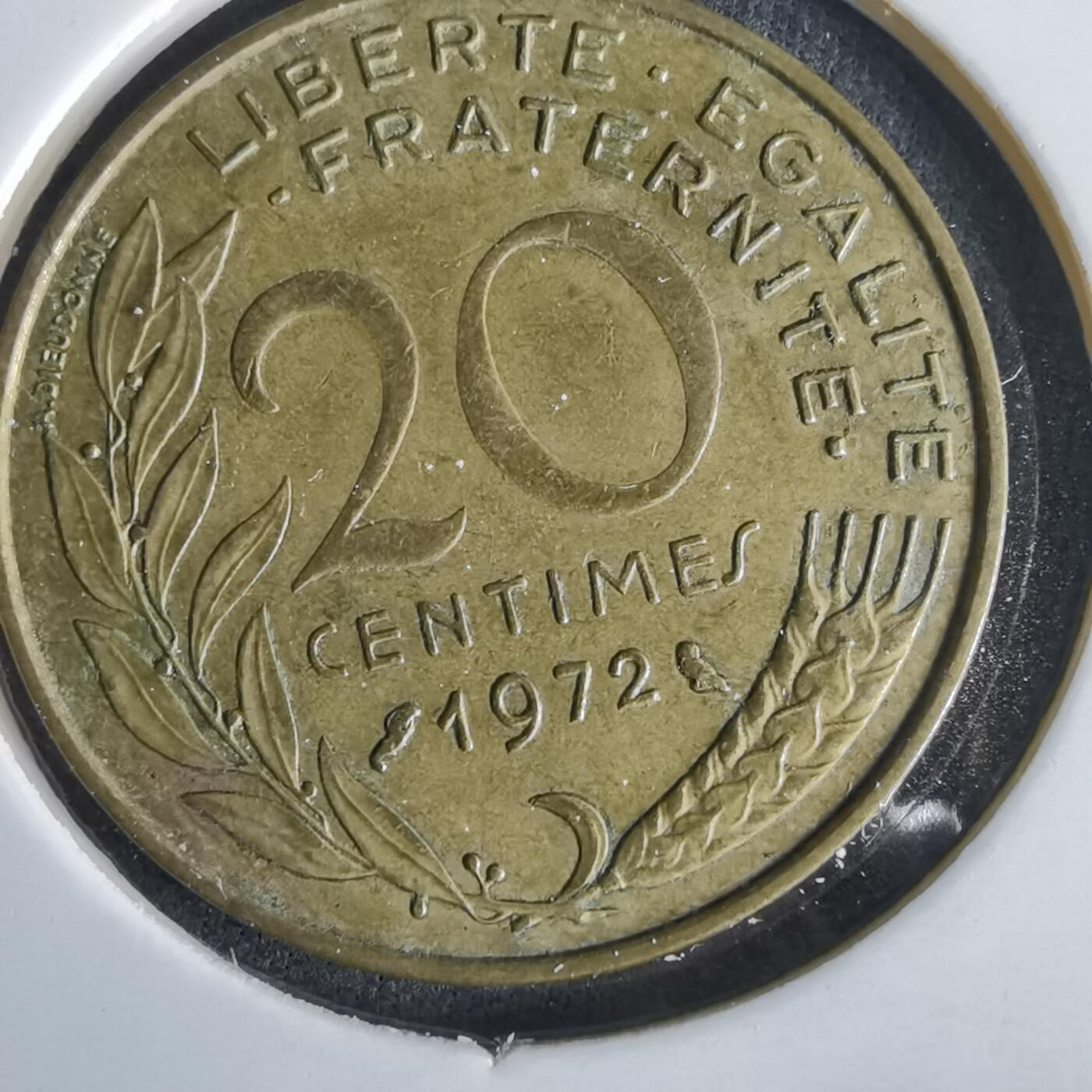 沼泽如烟--第1028场