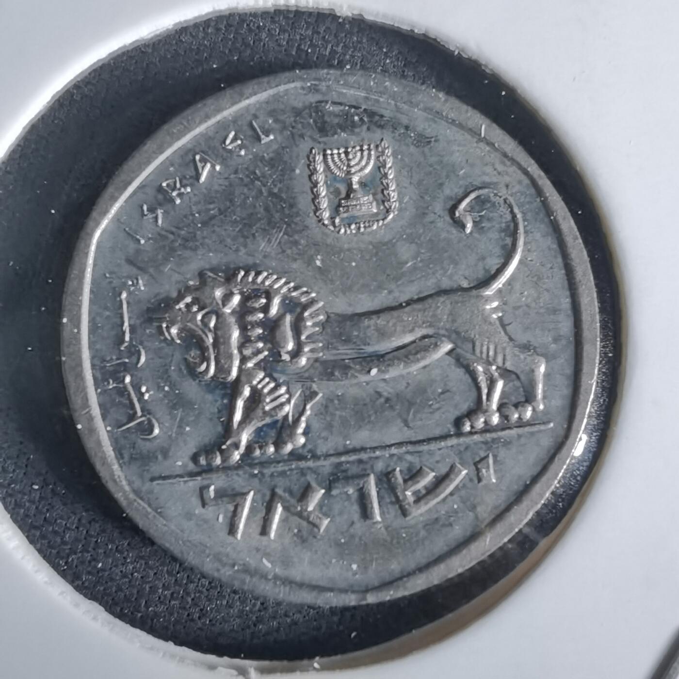 沼泽如烟--第1028场