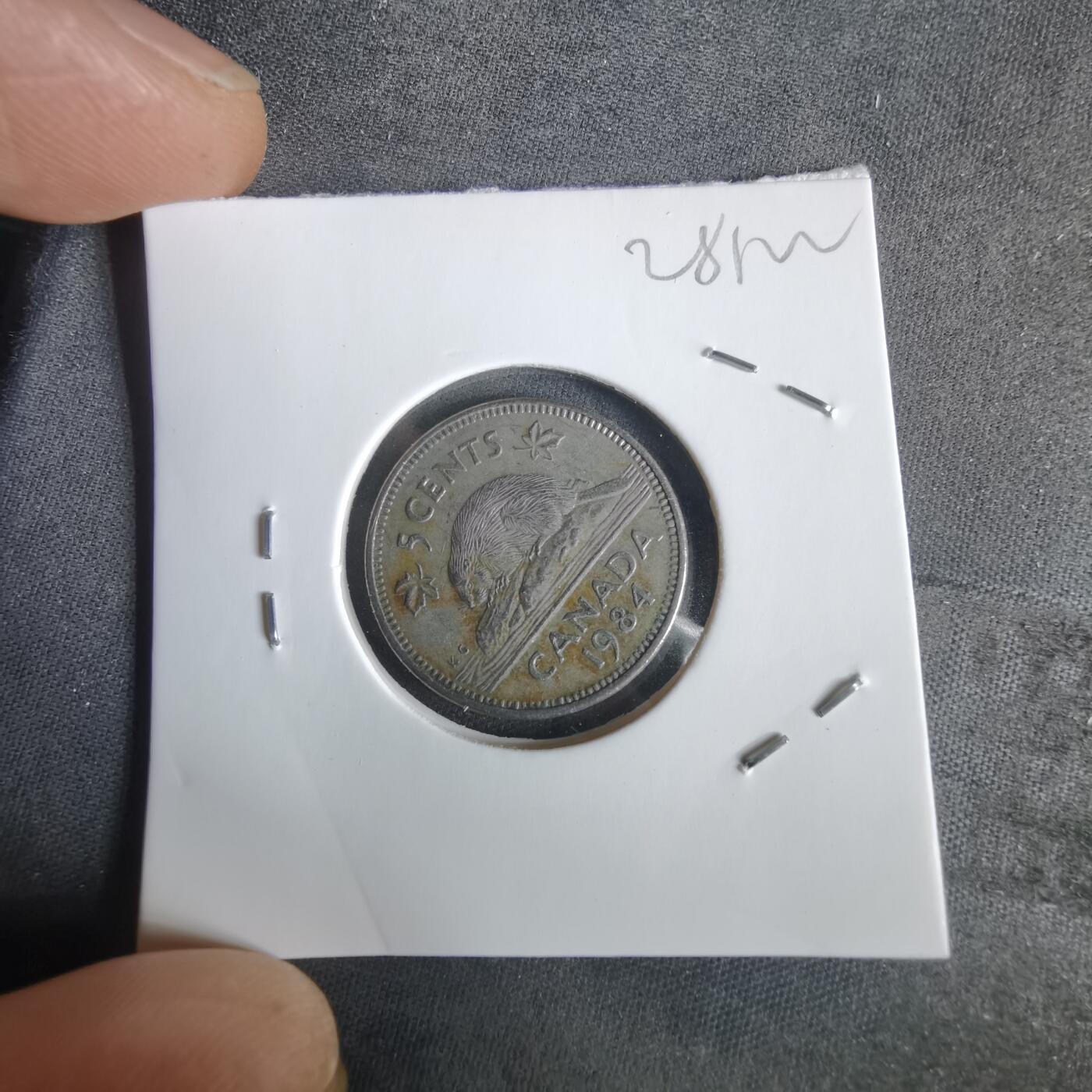 沼泽如烟--第1028场