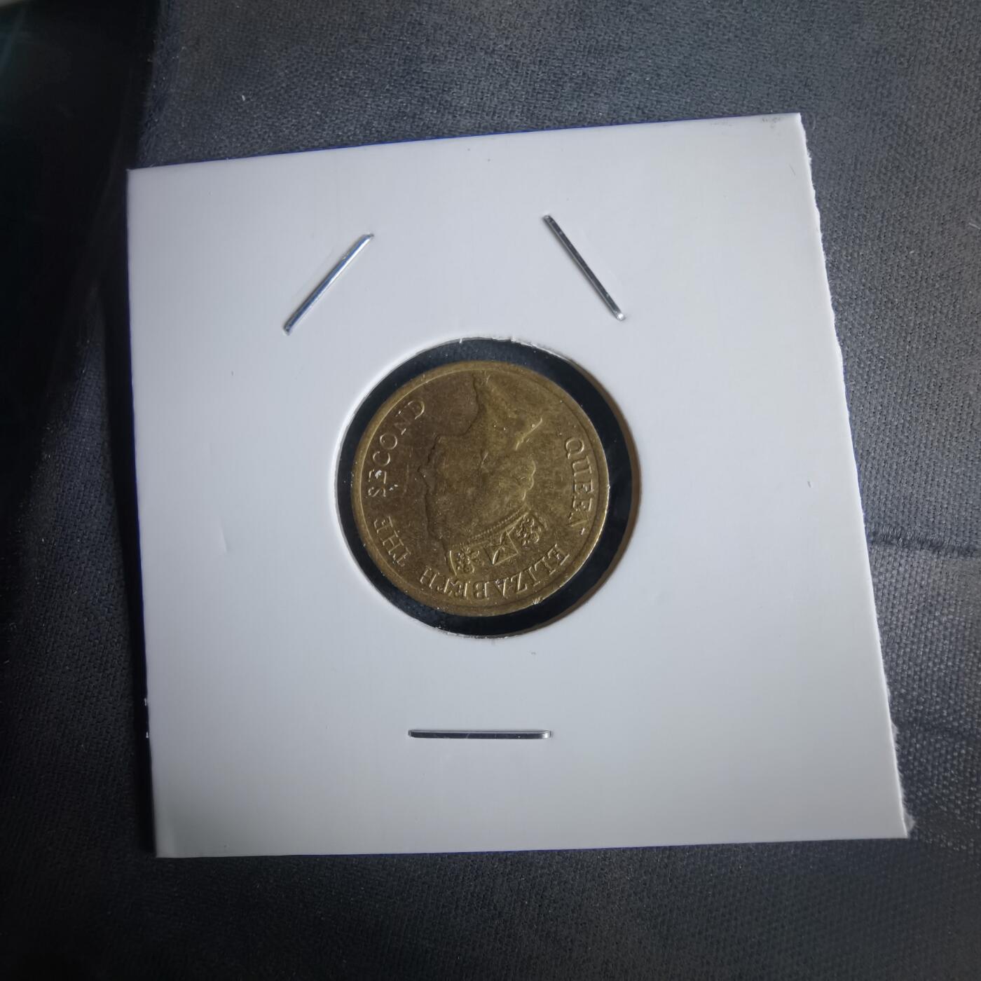 沼泽如烟--第1028场