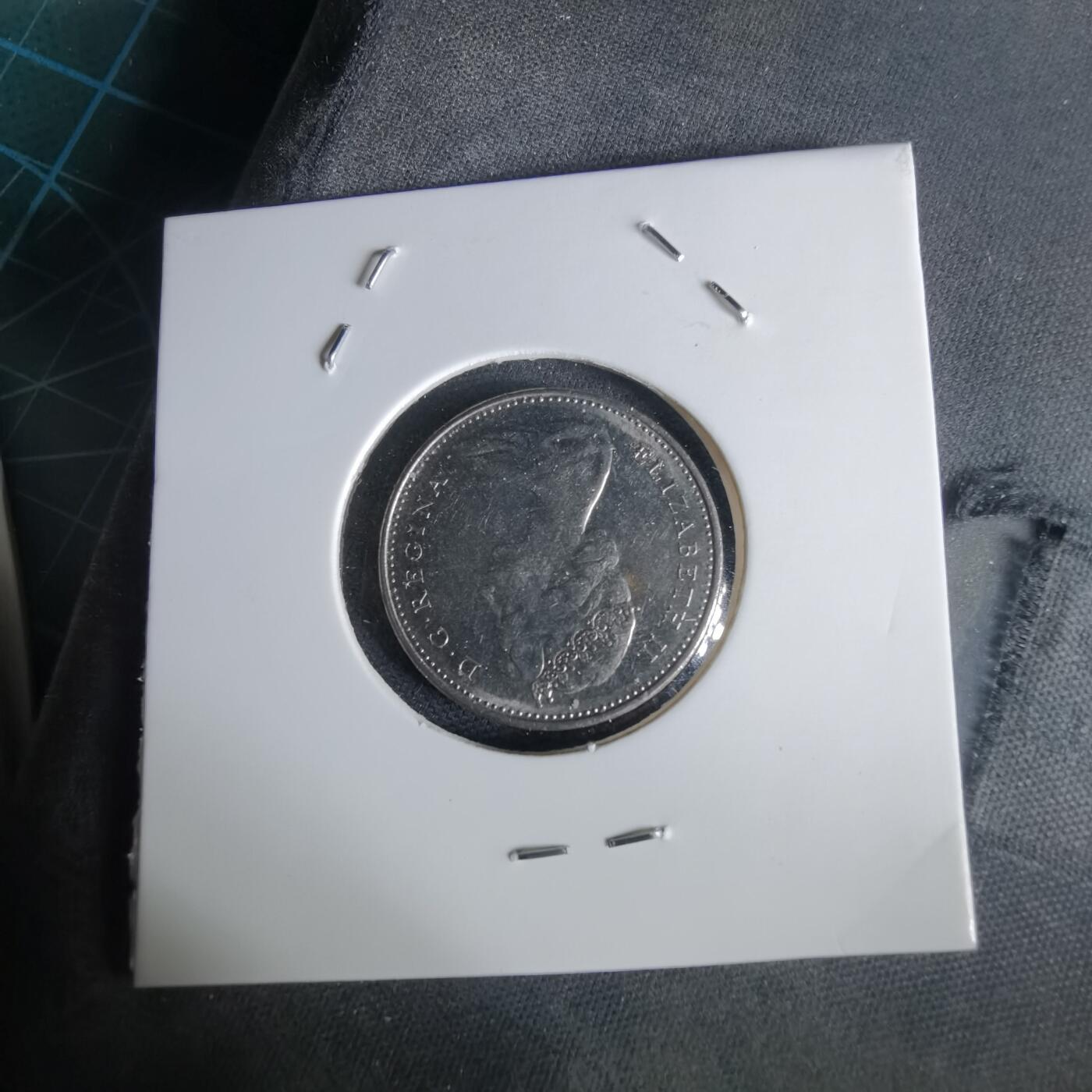 沼泽如烟--第1028场