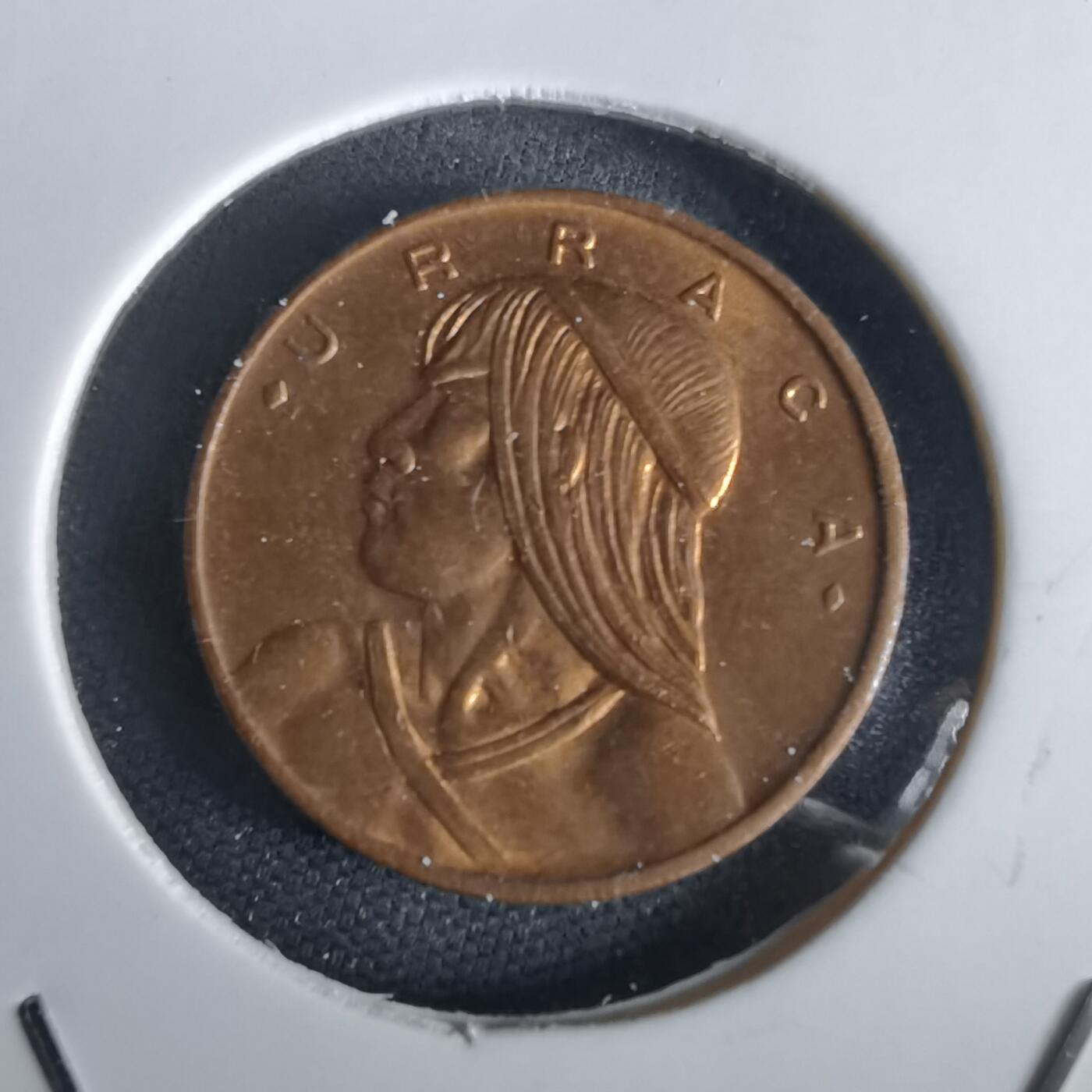 沼泽如烟--第1028场