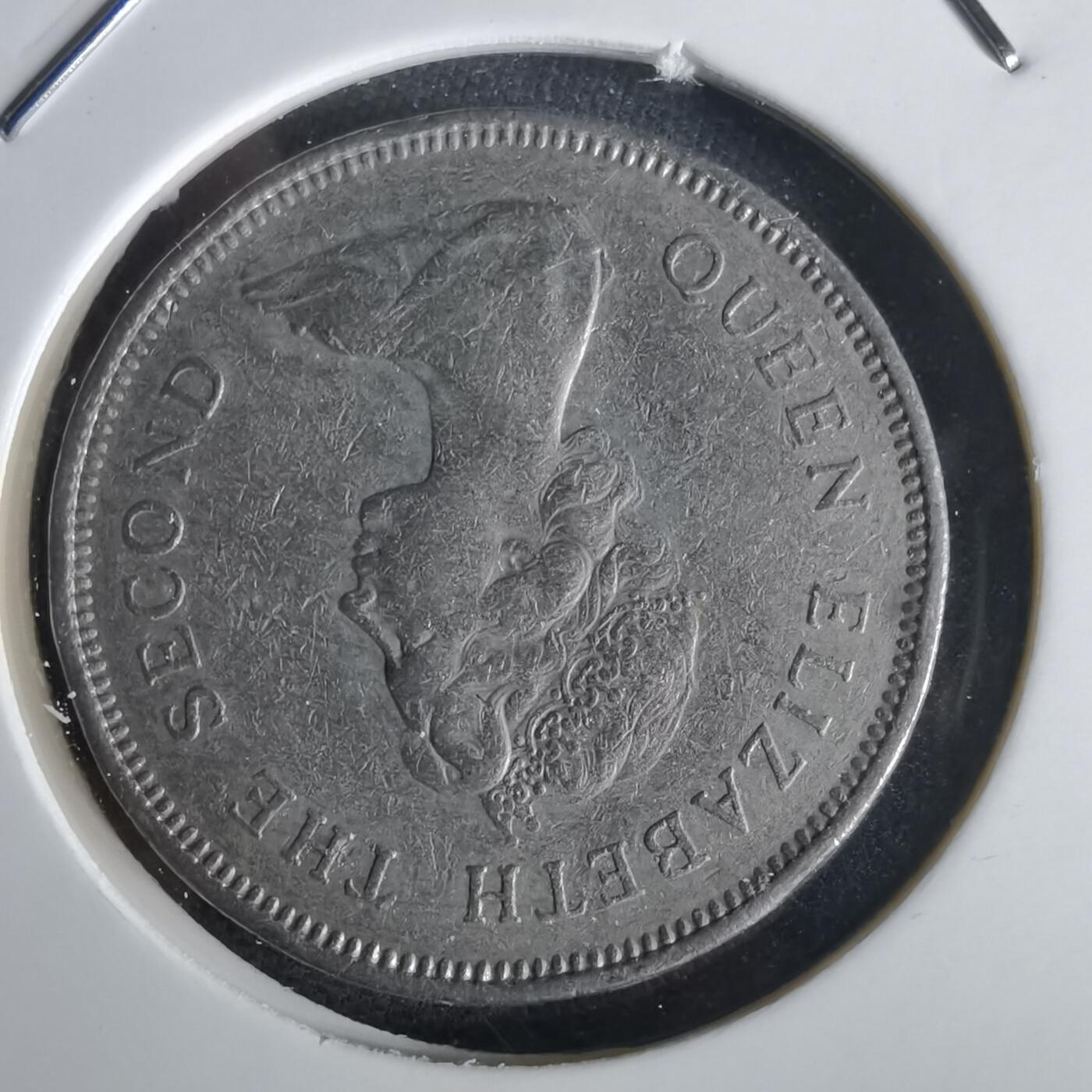 沼泽如烟--第1028场