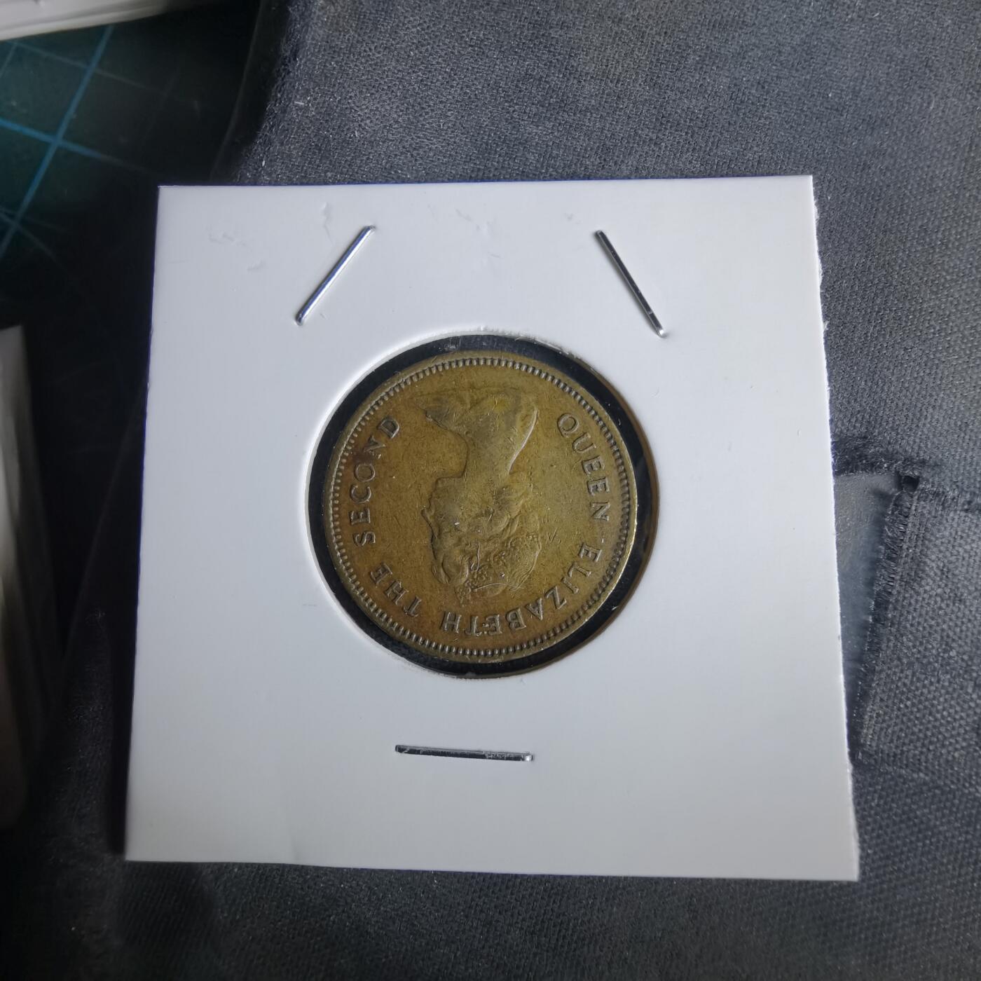 沼泽如烟--第1028场