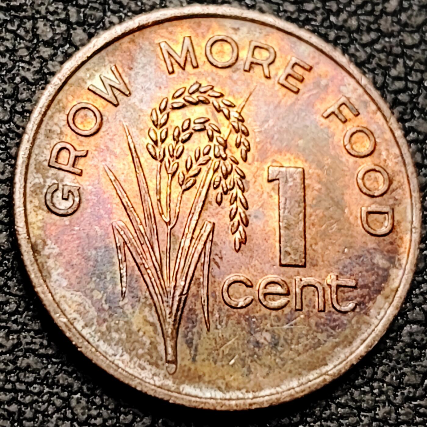 泉币菌-第213场-拍品多 请提前出价（工作最近较忙 发货不及时，望理解） 。