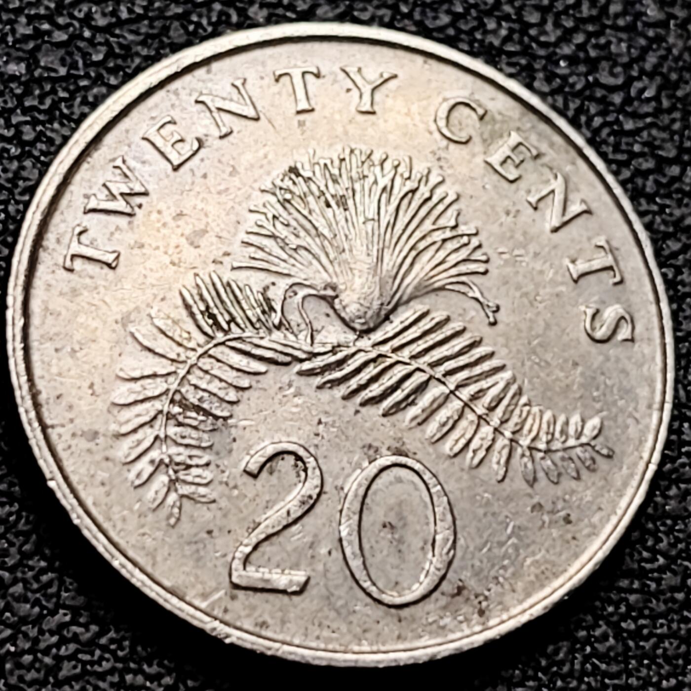 泉币菌-第213场-拍品多 请提前出价（工作最近较忙 发货不及时，望理解） 。