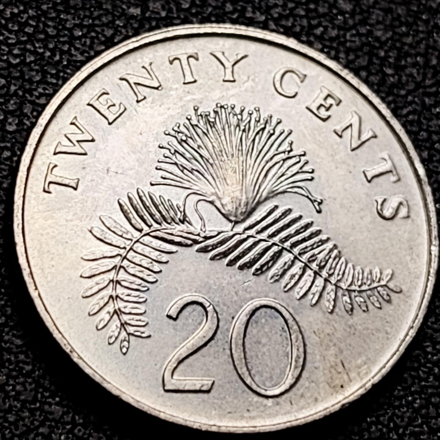 泉币菌-第213场-拍品多 请提前出价（工作最近较忙 发货不及时，望理解） 。