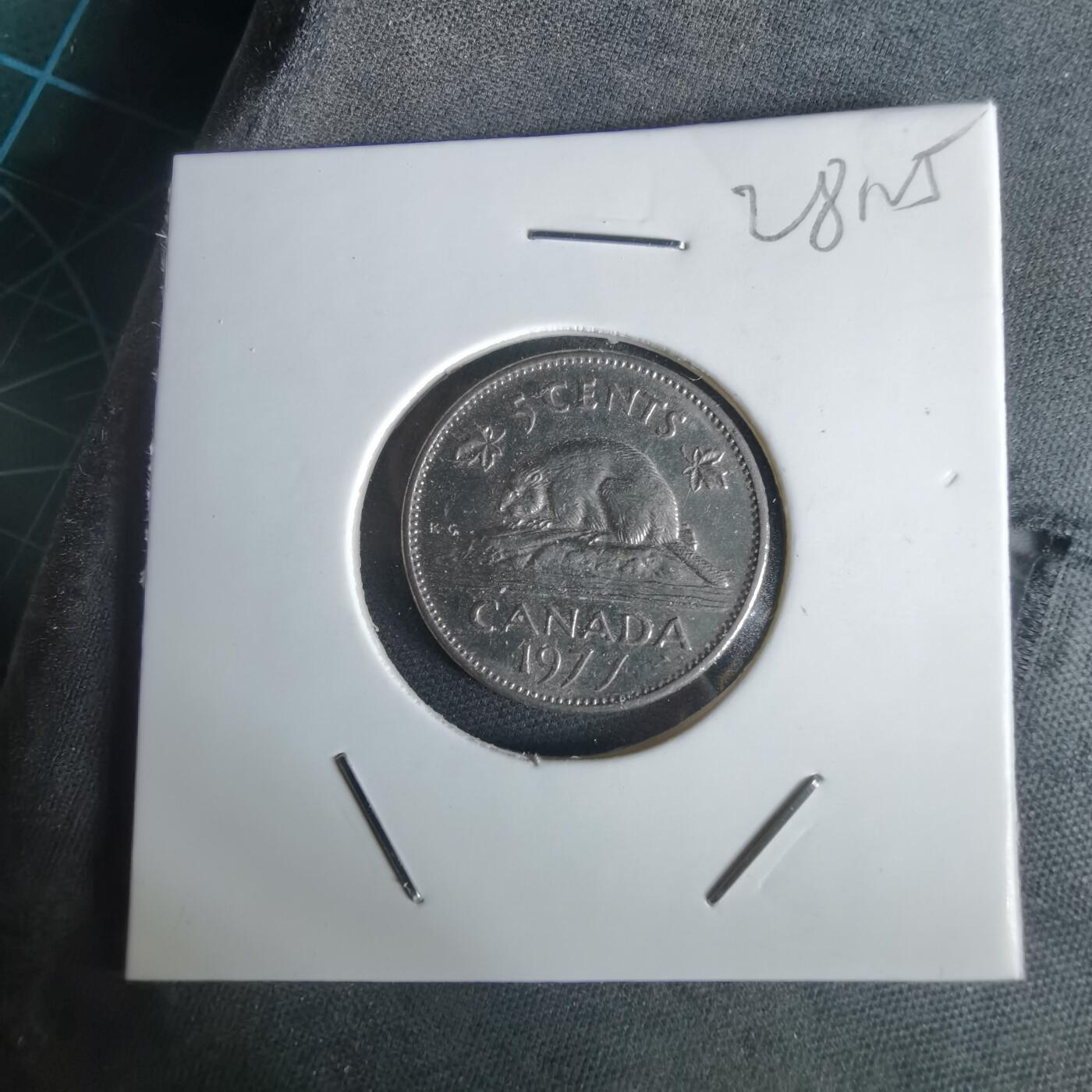 沼泽如烟--第1028场