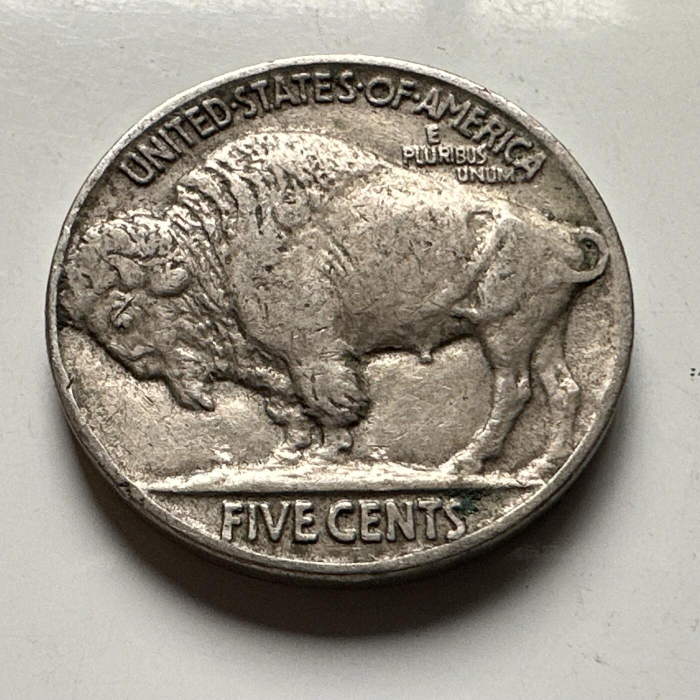 🌹外币初藏🌹🐯2026年第30场   每周二四六晚8️⃣点 接代拍 美国1936年牦牛5美分