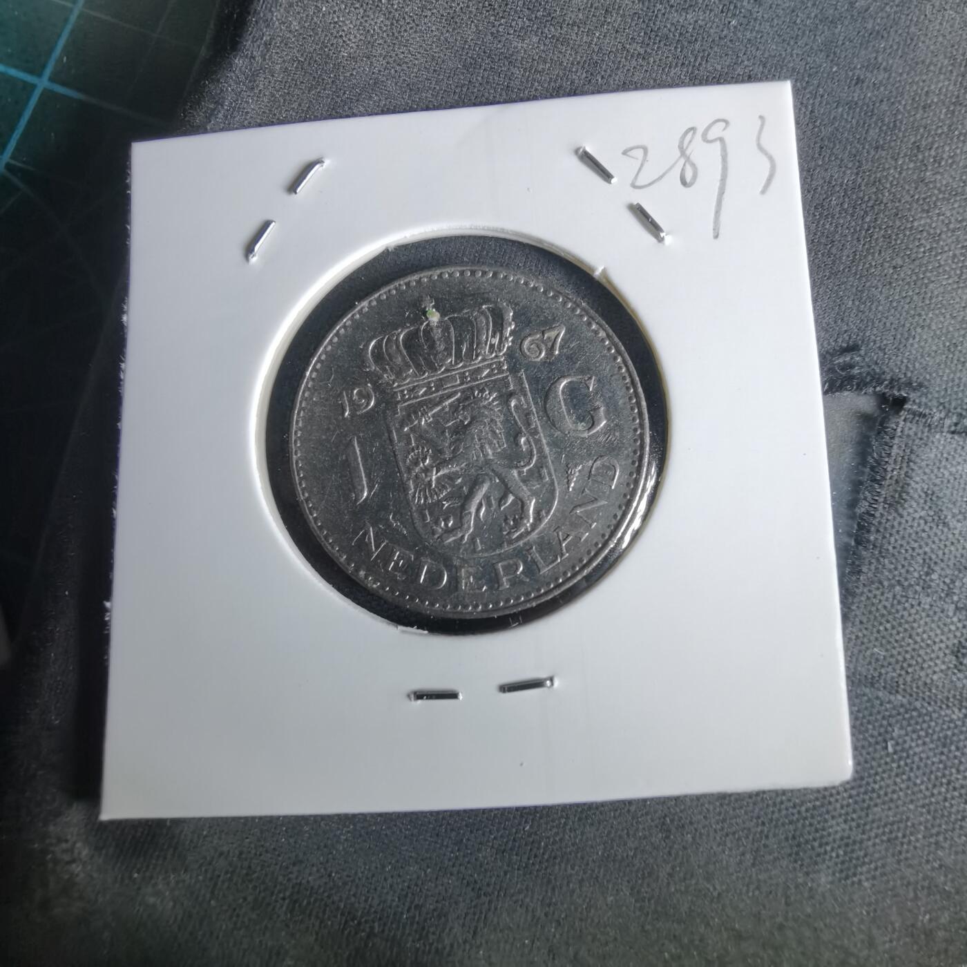 沼泽如烟--第1028场