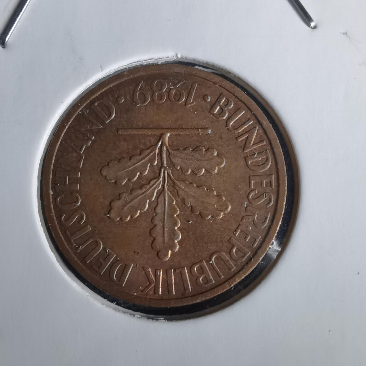 沼泽如烟--第1028场