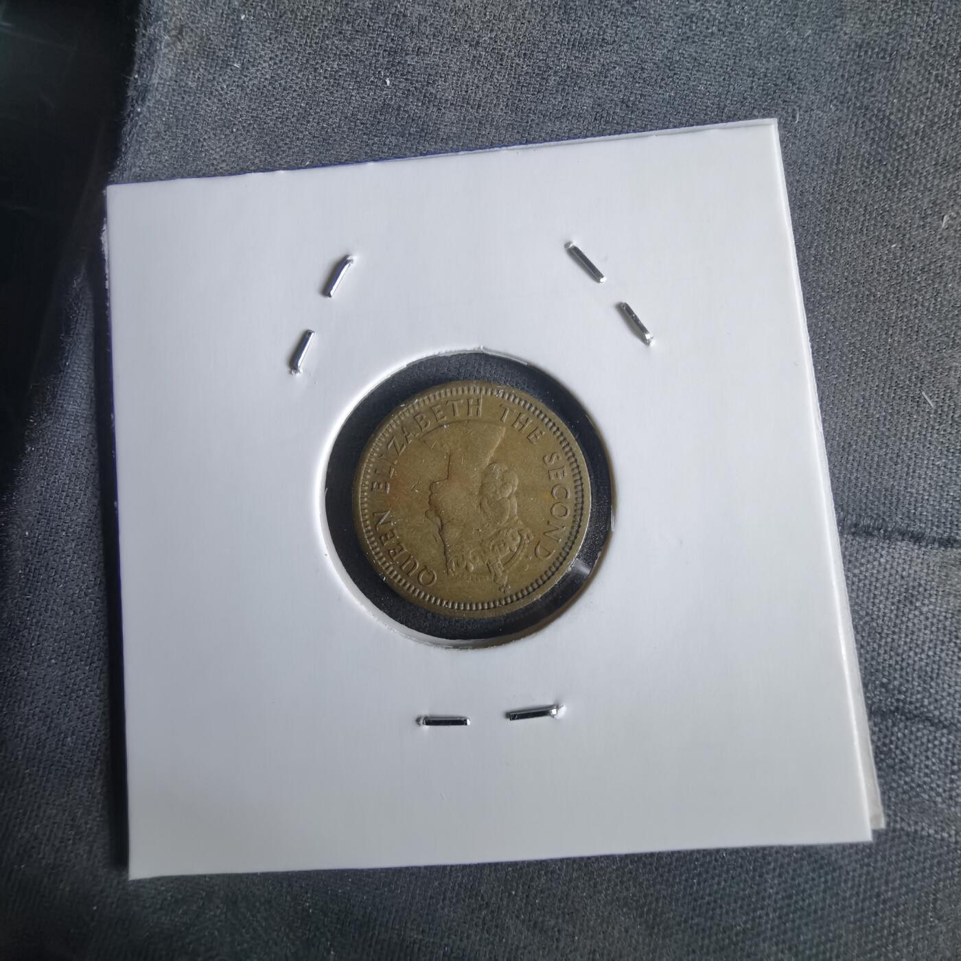 沼泽如烟--第1028场