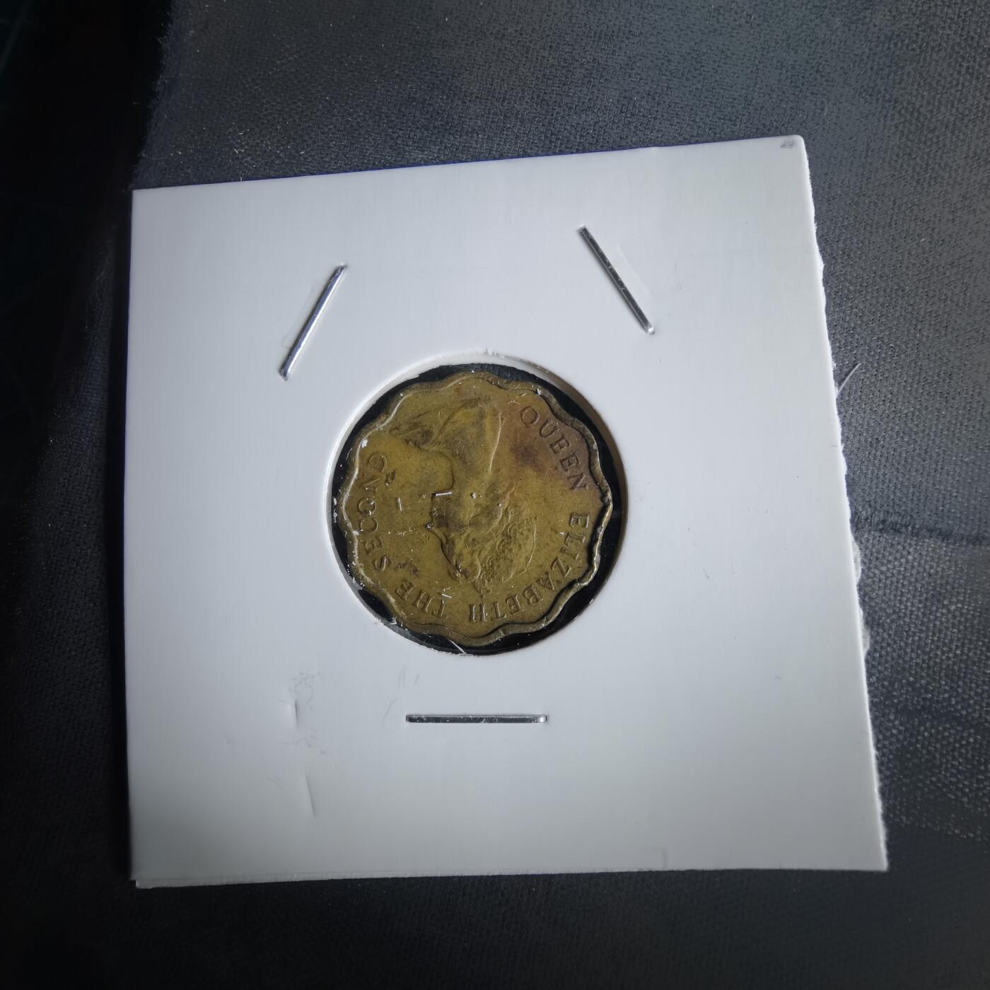 沼泽如烟--第1028场