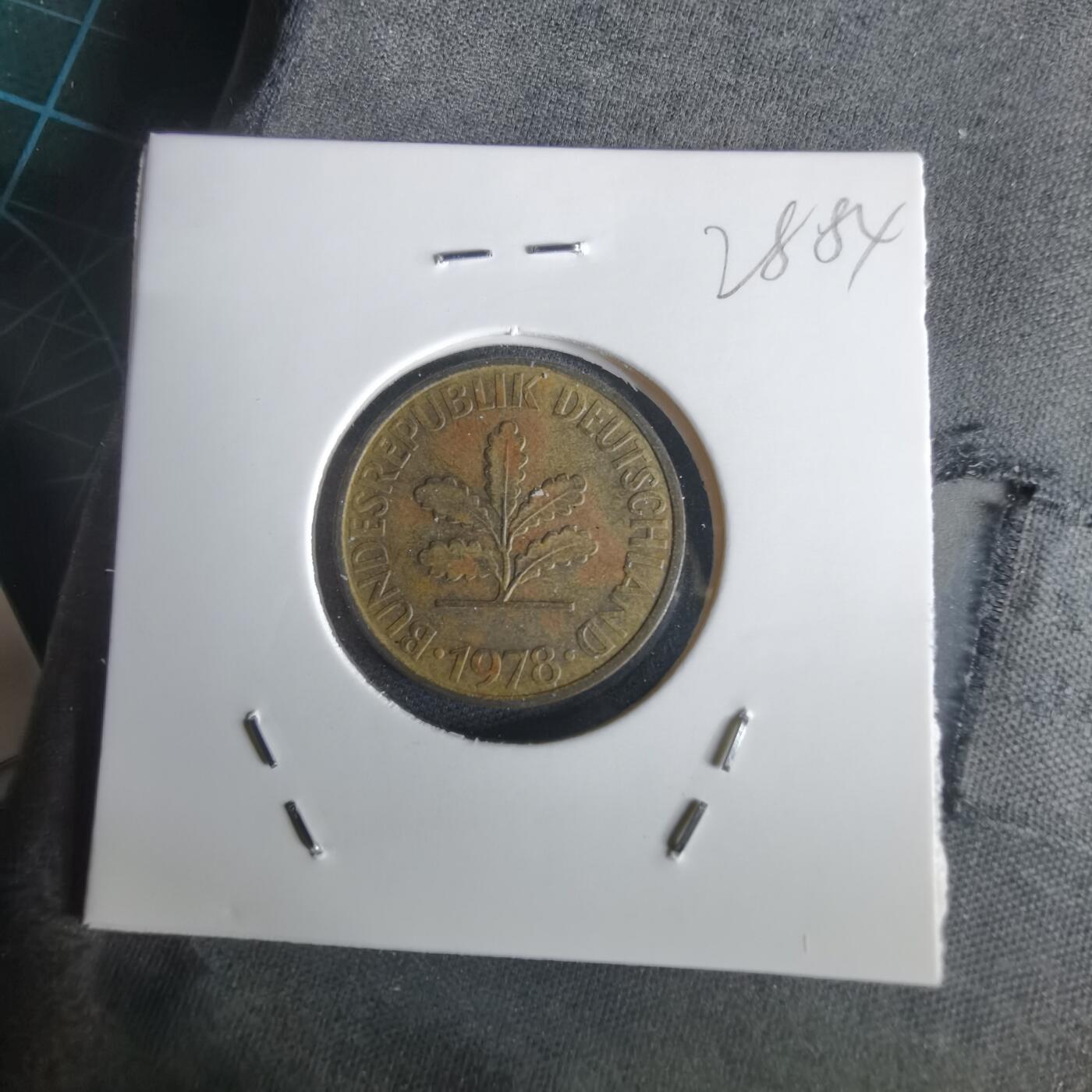 沼泽如烟--第1028场