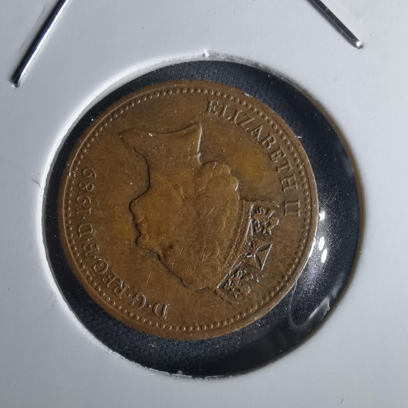 沼泽如烟--第1028场