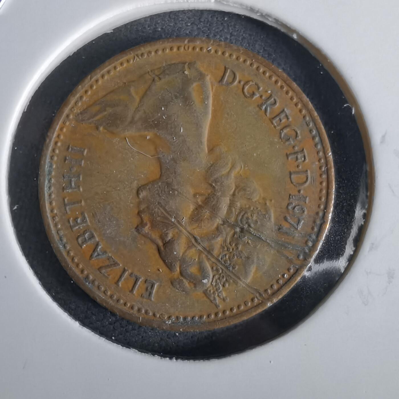 沼泽如烟--第1028场