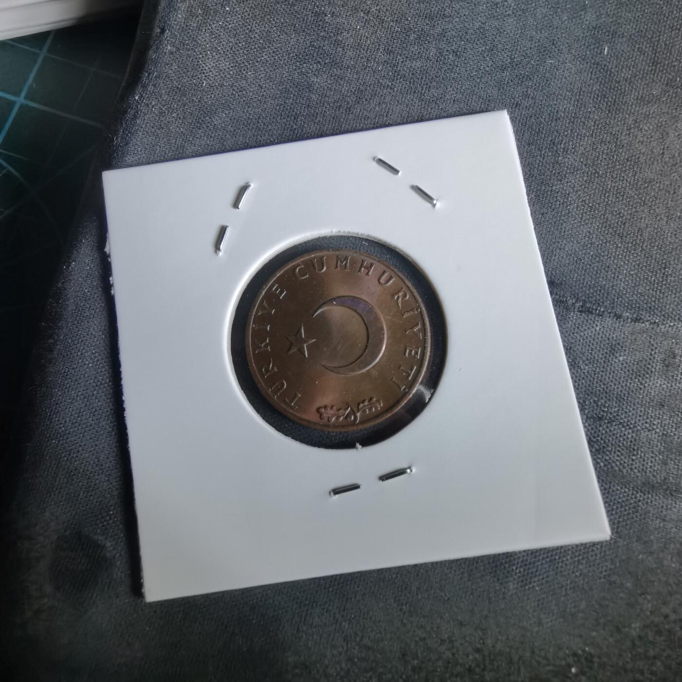 沼泽如烟--第1028场