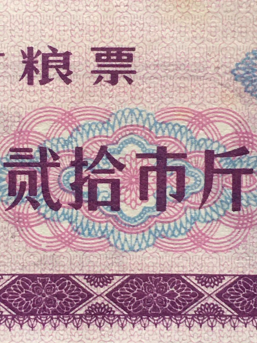         1981年辽宁省地方粮票贰拾市斤全新品相未流通1枚原版真品如图供应票证旧藏文玩艺术收藏